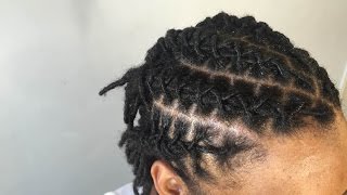 How To Retwist And Style Locs [upl. by Chrisman610]