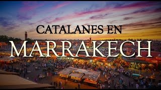 CATALANES EN MARRAKECH  Todo lo que quieres saber de Marrakech [upl. by Knutson]