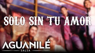 Solo Sin Tu Amor Aguanilé Salsa  Audio [upl. by Aniroc]