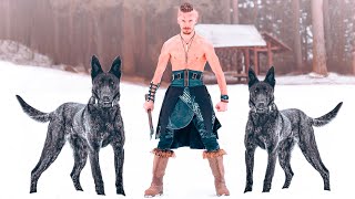 These Are The 10 Scandinavian Dog Breeds [upl. by Riffle606]