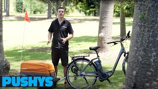 PUSHYS REVIEW Croozer Multipurpose Cargo Trailer [upl. by Eanrahs]