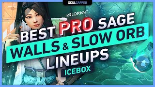 BEST PRO SAGE WALLS amp SLOW ORB LINEUPS on ICEBOX [upl. by Egief645]