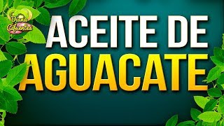 Para Que Sirve El Aceite De Aguacate  Propiedades Beneficios Y Contraindicaciones Del Aguacate [upl. by Atteuqcaj613]