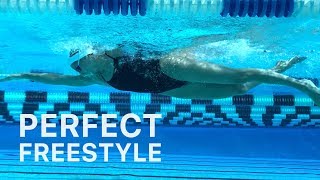 How To Swim Freestyle With Perfect Technique [upl. by Niehaus]