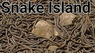 Snake Island Brazil [upl. by Wayne]