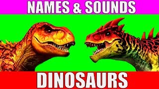 Dinosaurs Names and Sounds for Kids to Learn  Learn Dinosaur Names and Sounds for Children [upl. by Adnahsor34]