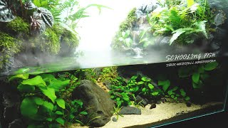 Stepped Waterfall Aquaterrarium for SCHOOLING FISH Paludarium l stepbystep [upl. by Sudaorb]