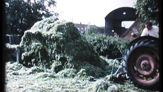 Dairy Farming in the UK in the 1960s [upl. by Fernandez931]