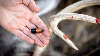 Two EasyLoading Muzzleloader Bullets From Federal [upl. by Alilahk]