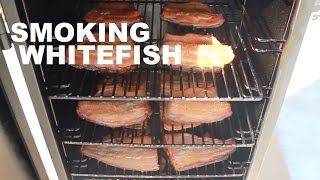 How to Smoke Whitefish [upl. by Aneetak55]