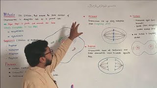 Mitosis  Prophase  Metaphase  Anaphase  Telophase  FScBiology [upl. by Jovita]