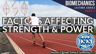 Factors Affecting Muscle Strength and Power  CSCS Chapter 2 [upl. by Olimpia]