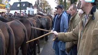 Paardenmarkt in Hedel [upl. by Emanuele64]