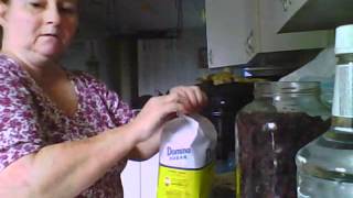 Making Blackberry Brandy [upl. by Faunia]