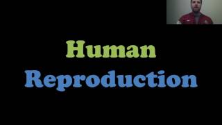 Human Reproduction [upl. by Ahlgren237]