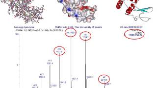 Mass spectrometry for proteomics  part one [upl. by Nanny]