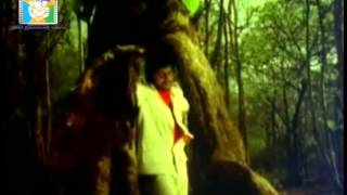 Ille Swarga Ille Naraka video song from Nagara hole kannada movie [upl. by Bernadene252]