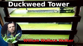 Duckweed GrowTower [upl. by Selwyn297]