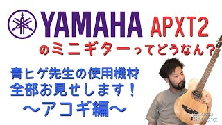 【使用機材紹介③】YAMAHA APXT2 [upl. by Tamanaha525]