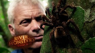 The Largest Spider In The World  SPECIAL EPISODE  River Monsters [upl. by North405]