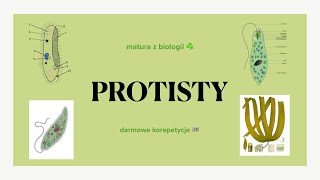 8 Protisty  zwierzęce roślinopodobne grzybopodobne  matura z biologii 🌿 biologia liceum [upl. by Reimer]