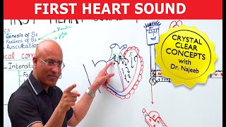 S1 Heart Sounds and Murmurs  First Heart Sound  Dr Najeeb🫀 [upl. by Ahras]