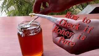 How to check if Honey is Pure [upl. by Ehman36]