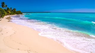 Waves on Saona Island  Relaxing Beach Sounds of the Caribbean Sea For Study Meditation and Sleep [upl. by Eatnod]