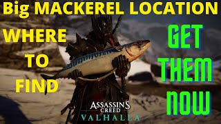 Big Mackerel Location In Assassins Creed Valhalla [upl. by Sigismund]