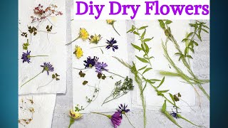 How to Dry Flowers In a Microwave Oven [upl. by Tevis505]