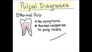 Intro to Endodontics Pulpal Diagnoses [upl. by Nauqahs]