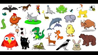 Animal Sounds  over 50 animals noises [upl. by Milford]