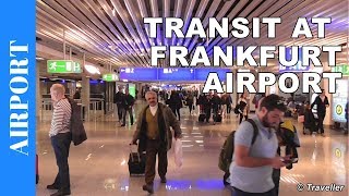 TRANSIT WALK AT FRANKFURT Airport FRA Terminal 1  Connection Flight Transfer Arriving amp Departing [upl. by Turk611]