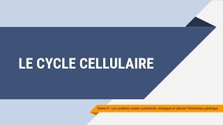 Le cycle cellulaire [upl. by Claiborne]