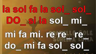 Fratello sole sorella luna  karaoke notazionale FACILE [upl. by Ahsercal]