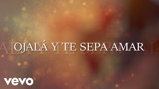 Uriel Barrera  Ojalá Y Te Sepa Amar Lyric Video [upl. by Bernete]