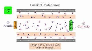 Capillary Electrophoresis [upl. by Lissa899]