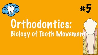 Orthodontics  Biology of Tooth Movement  INBDE ADAT [upl. by Aisatan]