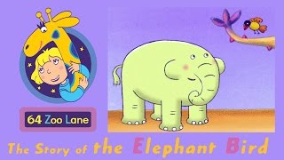 64 Zoo Lane  The Elephant Bird S01E13 HD  Cartoon for kids [upl. by Kelwin]