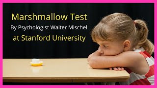 Marshmallow Test  Walter Mischel  Stanford University  Instant Gratification [upl. by Tabatha]