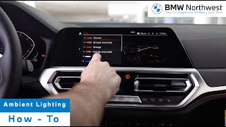 Changing your Ambient Lighting Colors in your BMW  How To  BMW Northwest [upl. by Cindee]