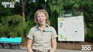 Virtual Tour of Melbourne Zoo [upl. by Sidwohl]