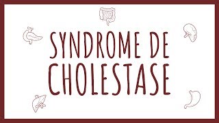 Sémiologie Hépatique  Syndrome de Cholestase [upl. by Lesslie308]