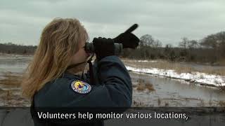 Welcome Video  Edwin B Forsythe National Wildlife Refuge  Closed Captioned [upl. by Hamann]