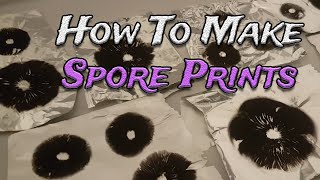 How To Create Mushroom Spore Prints [upl. by Yreva303]