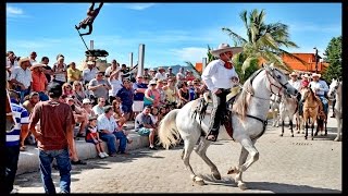 Best Mexican Dancing Horses Show D Mexican Caballos bailando [upl. by Trixi557]