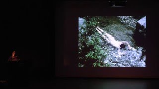 Raquel Cecilia Mendieta The Films of Ana Mendieta [upl. by Colburn]