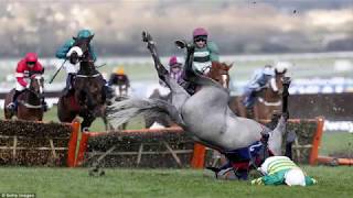 Top 5 worst jockey falls [upl. by Madlin]