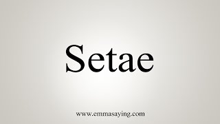 How To Say Setae [upl. by Aelanna330]