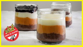 POSTRE FÁCIL y rápido SIN HORNO y SIN GLUTEN 1 preparación para 3 sabores [upl. by Natsrik43]